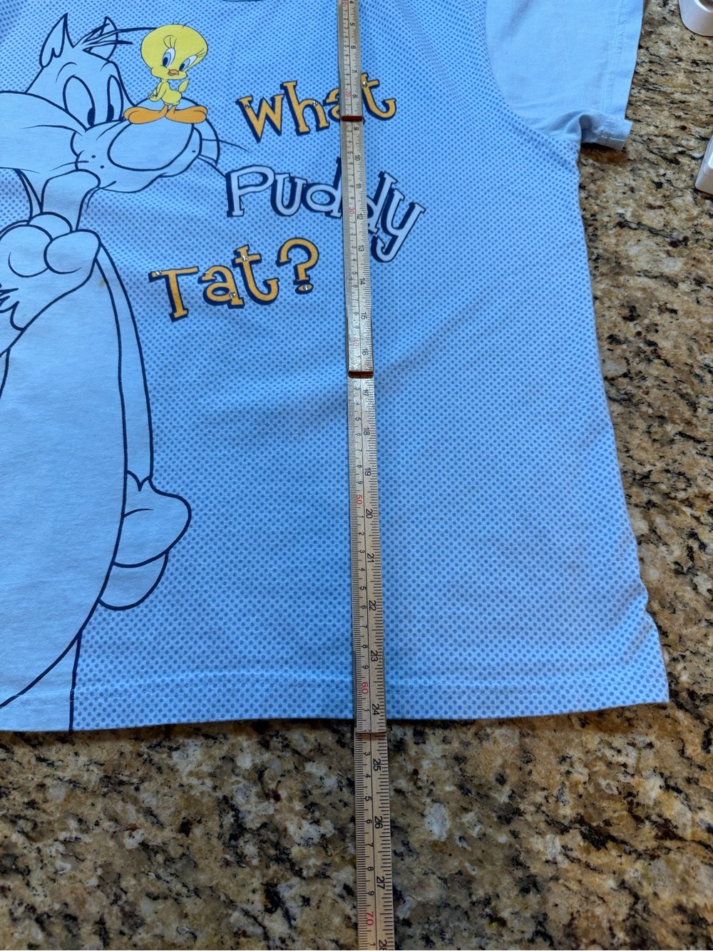 LOONEY TUNES Blue vintage Tweety Bird Sylvester SleepWear shirt no sz tag - Picture 5 of 5